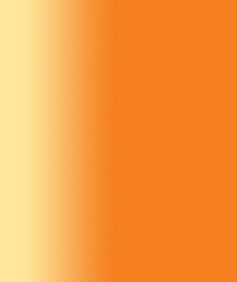 orange background copy.jpg